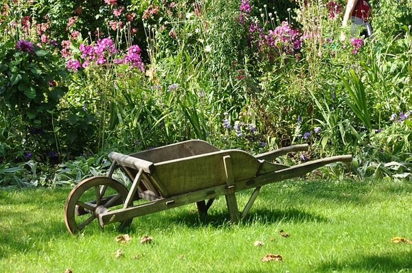 Créer un jardin en fonction des saisons et de l'emplacement